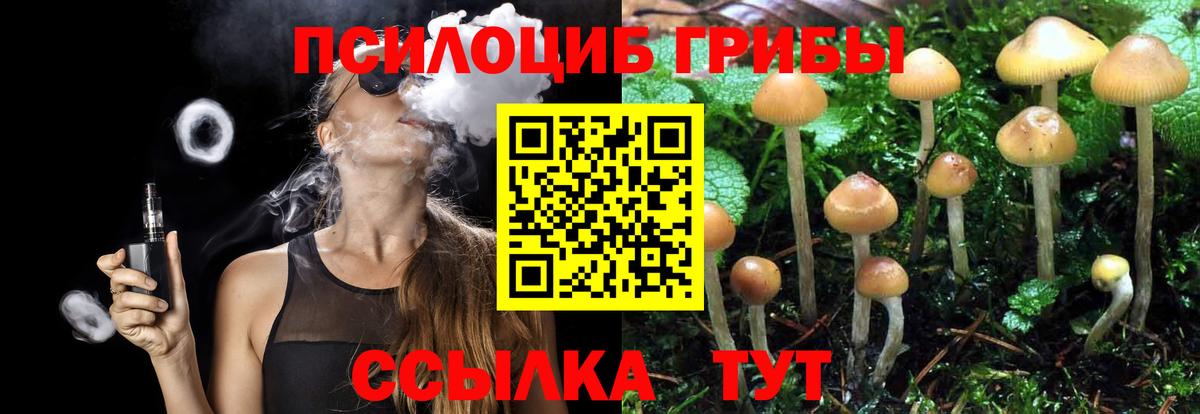 Галлюциногенные грибы MAGIC MUSHROOMS Владивосток